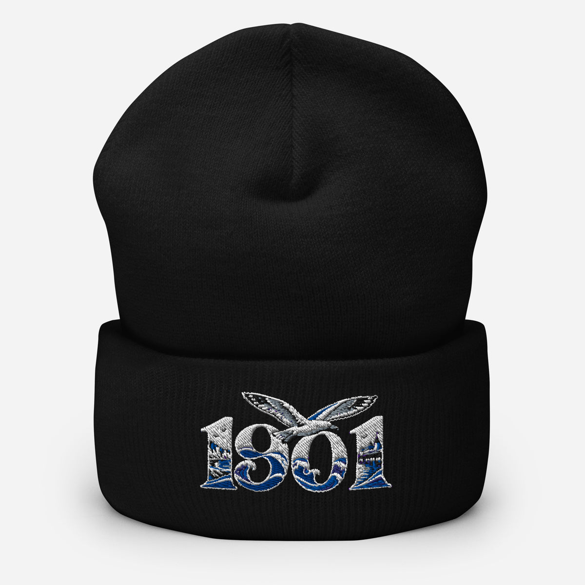 Brighton 1901 Heritage Seagulls Embroidered Football Beanie – black front view