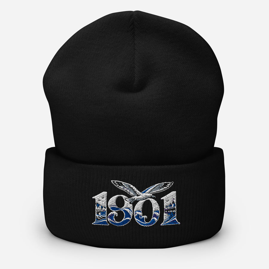 Brighton 1901 Heritage Seagulls Embroidered Football Beanie