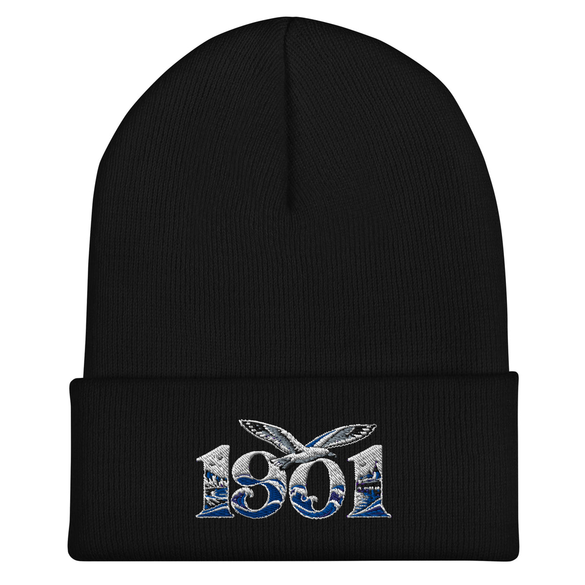 Brighton 1901 Heritage Seagulls Embroidered Football Beanie – black front view