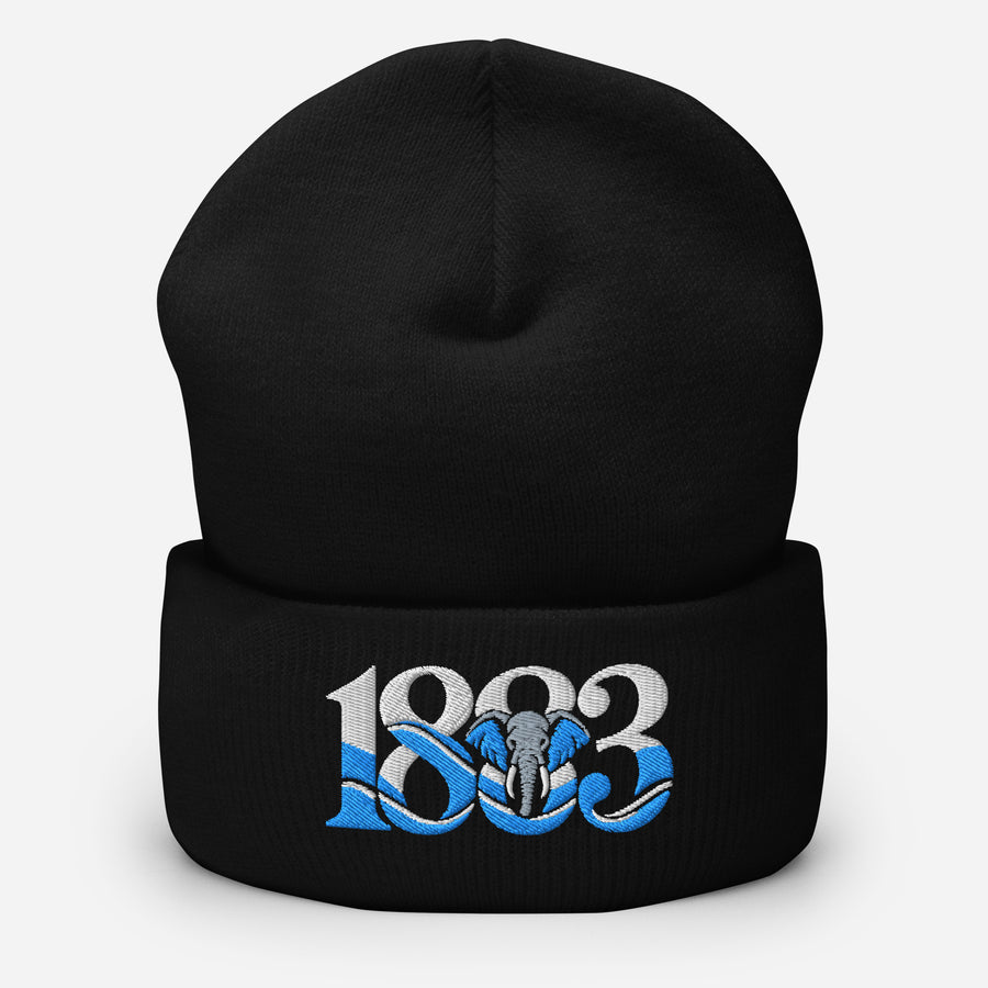 Coventry City 1883 Heritage Elephant Embroidered Football Beanie