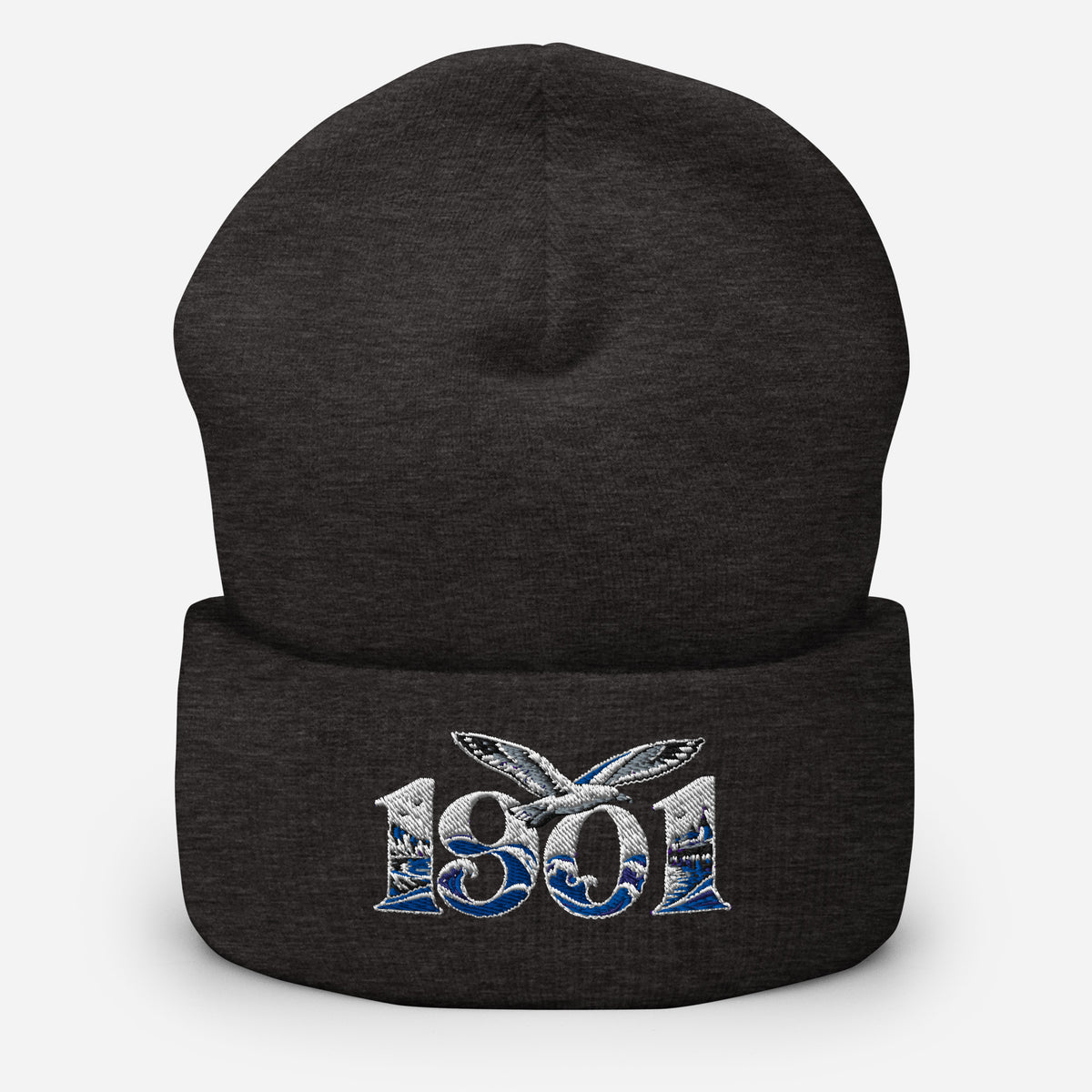 Brighton 1901 Heritage Seagulls Embroidered Football Beanie – dark grey front view