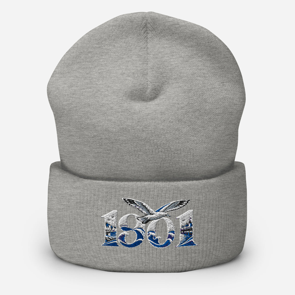 Brighton 1901 Heritage Seagulls Embroidered Football Beanie – heather grey front view