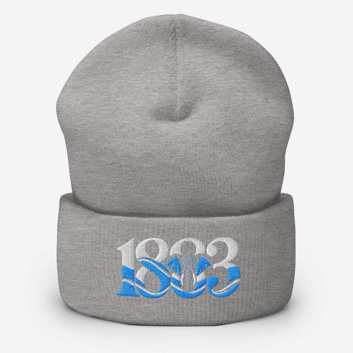 Coventry City 1883 Heritage Elephant Embroidered Football Beanie – heather grey front view