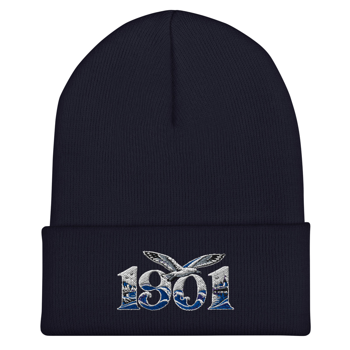 Brighton 1901 Heritage Seagulls Embroidered Football Beanie – navy front view