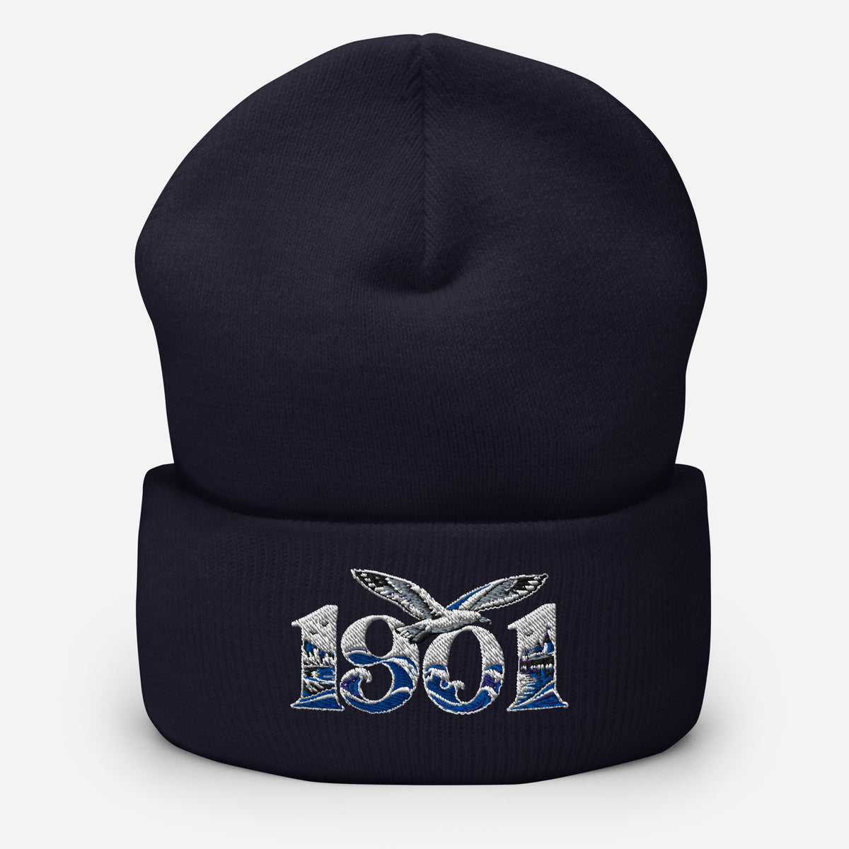 Brighton 1901 Heritage Seagulls Embroidered Football Beanie – navy front view