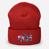 Crystal Palace 1905 Heritage Eagle Embroidered Football Beanie – red front view