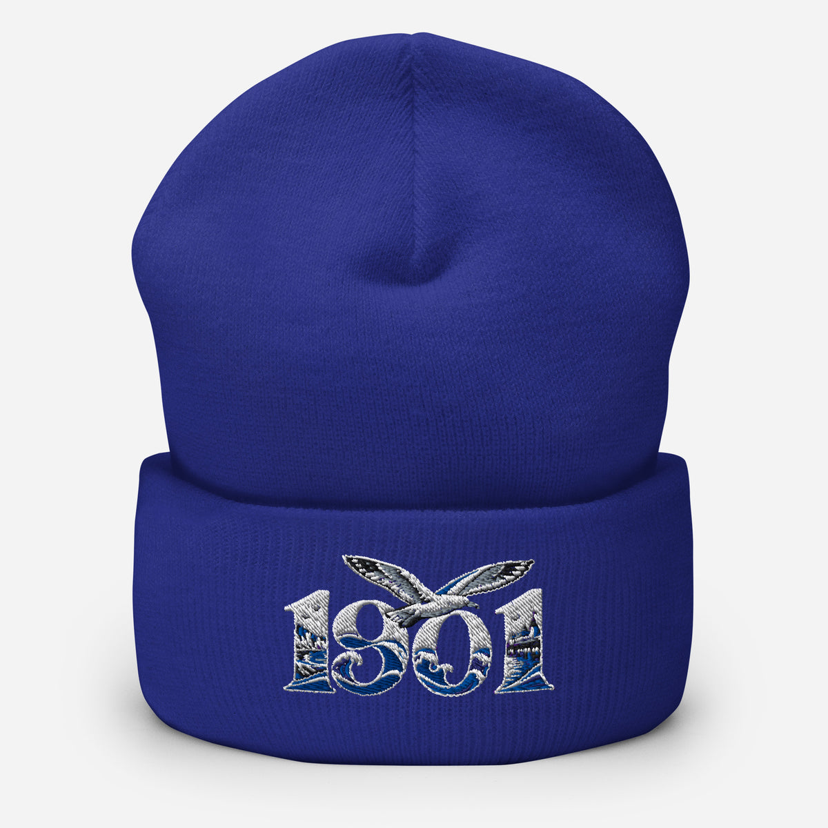 Brighton 1901 Heritage Seagulls Embroidered Football Beanie – royal front view