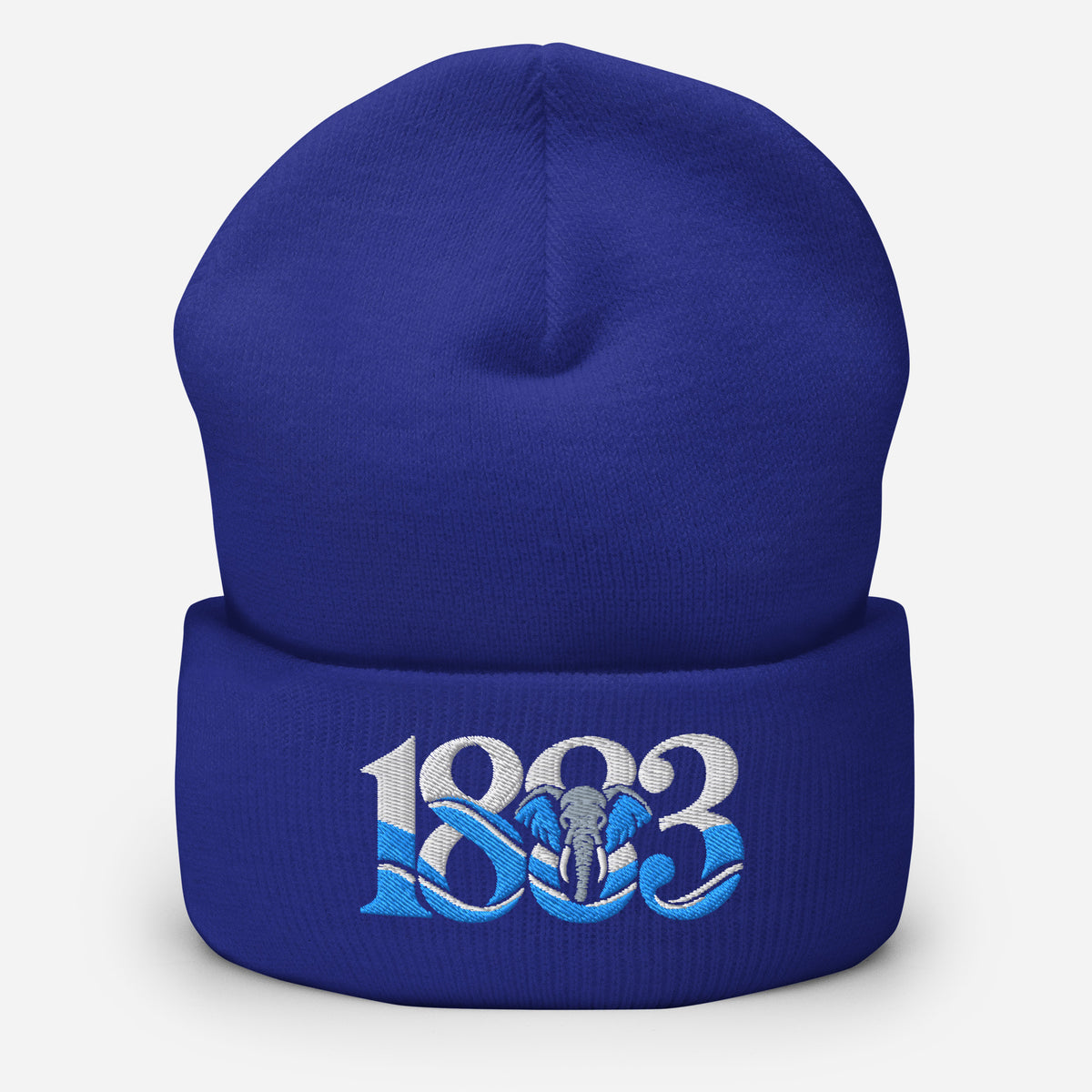 Coventry City 1883 Heritage Elephant Embroidered Football Beanie – royal front view