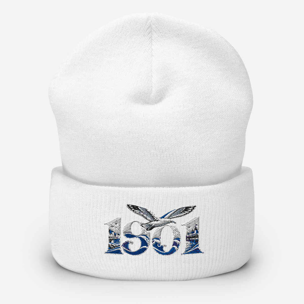 Brighton 1901 Heritage Seagulls Embroidered Football Beanie – white front view