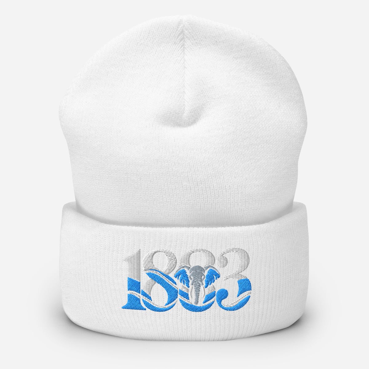 Coventry City 1883 Heritage Elephant Embroidered Football Beanie – white front view