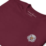 Crystal Palace Inspired Geometric Eagle Football T-Shirt