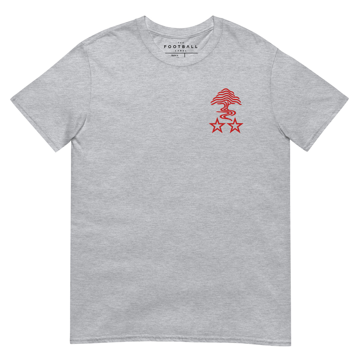 Nottingham Forest Inspired Two Stars Embroidered Football T-Shirt in sport grey – front view