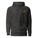Aston Villa Inspired Geometric Lion Football Hoodie
