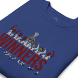 Aston Villa Inspired European Cup Champions Sweatshirt, team royal zoomed in view